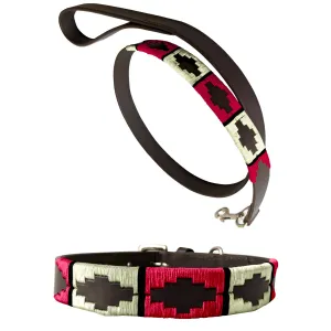 CORONEL MARTÍNEZ - Polo Dog Collar & Lead Set