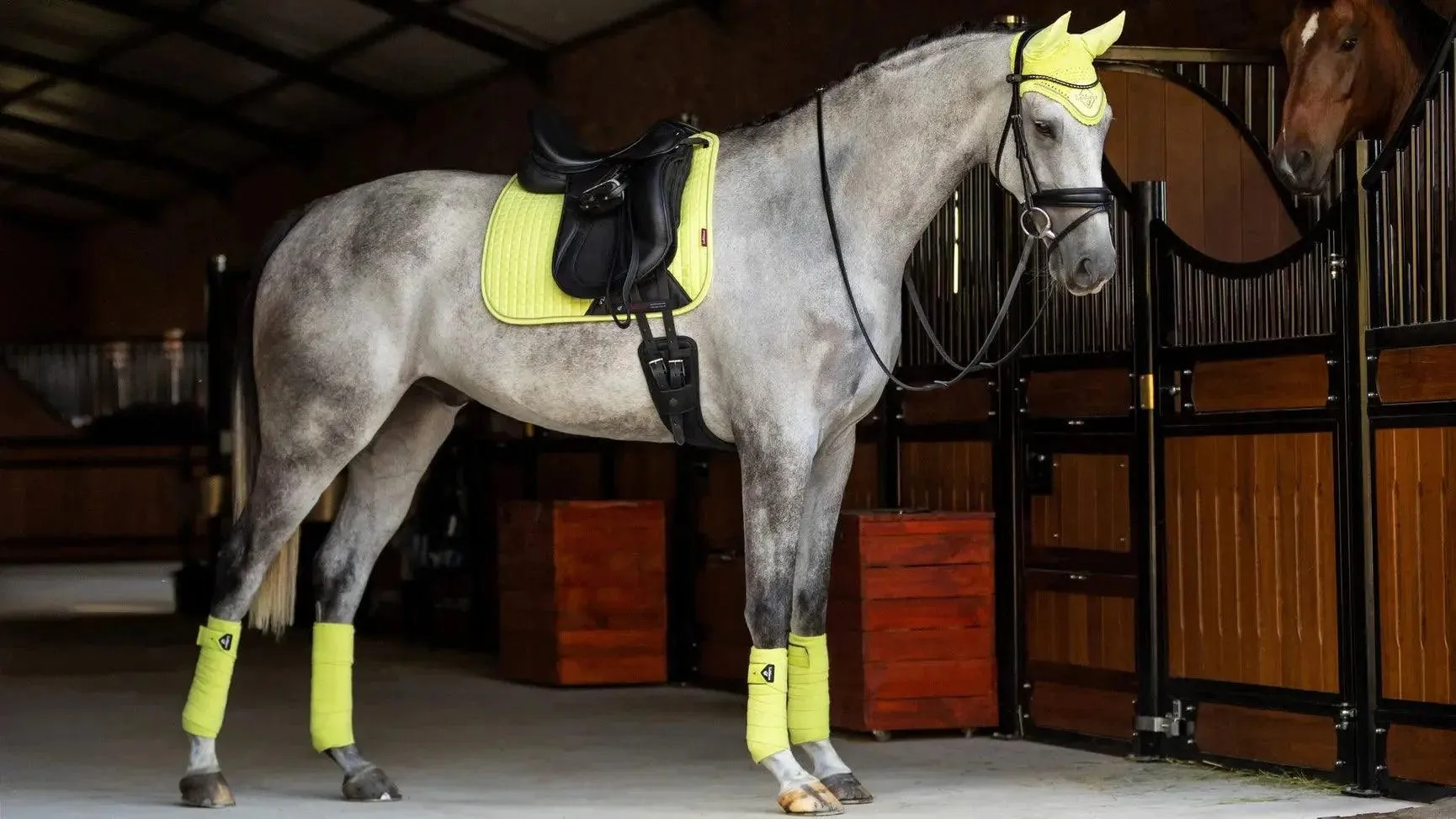 LeMieux luxury suede dressage saddle pad