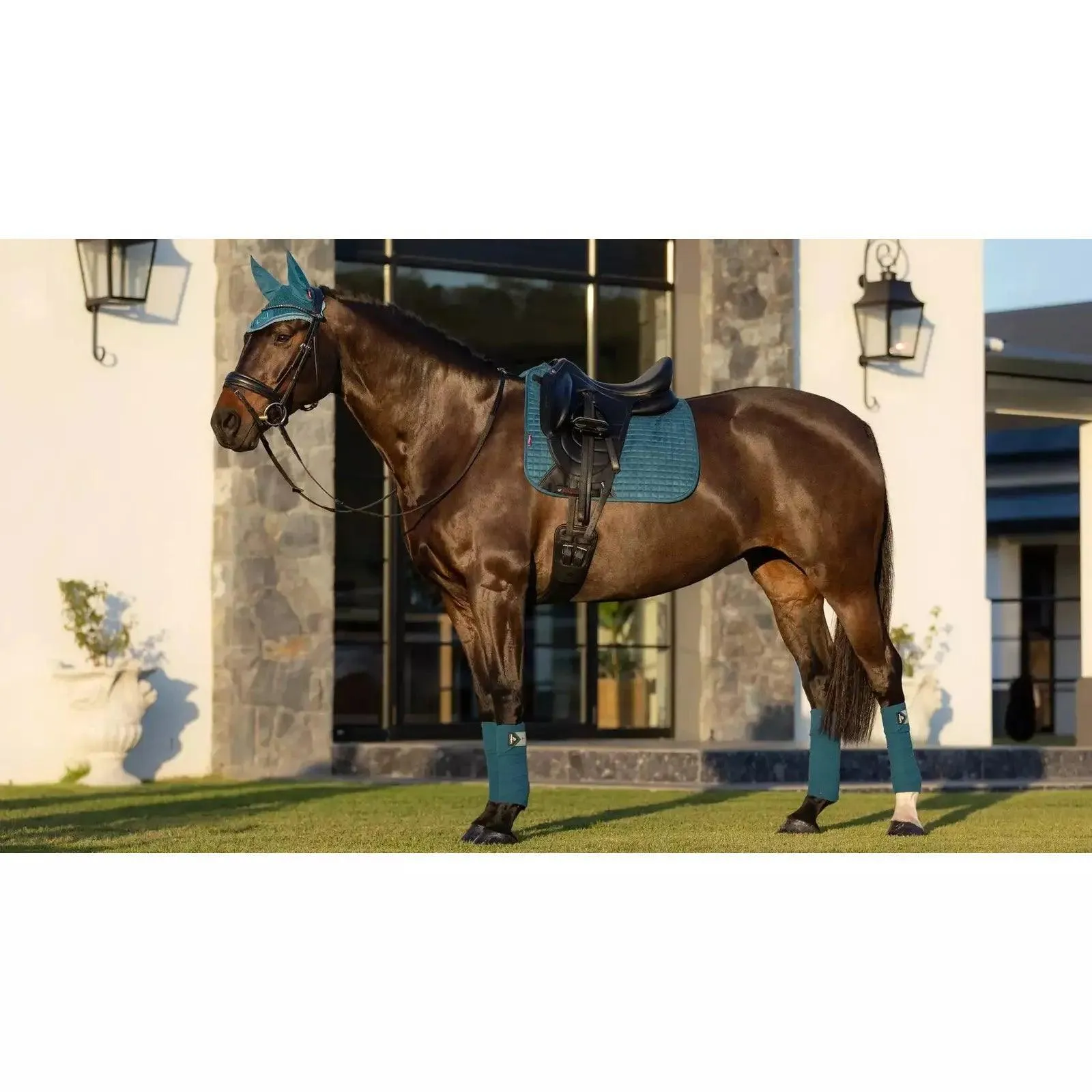 LeMieux luxury suede dressage saddle pad