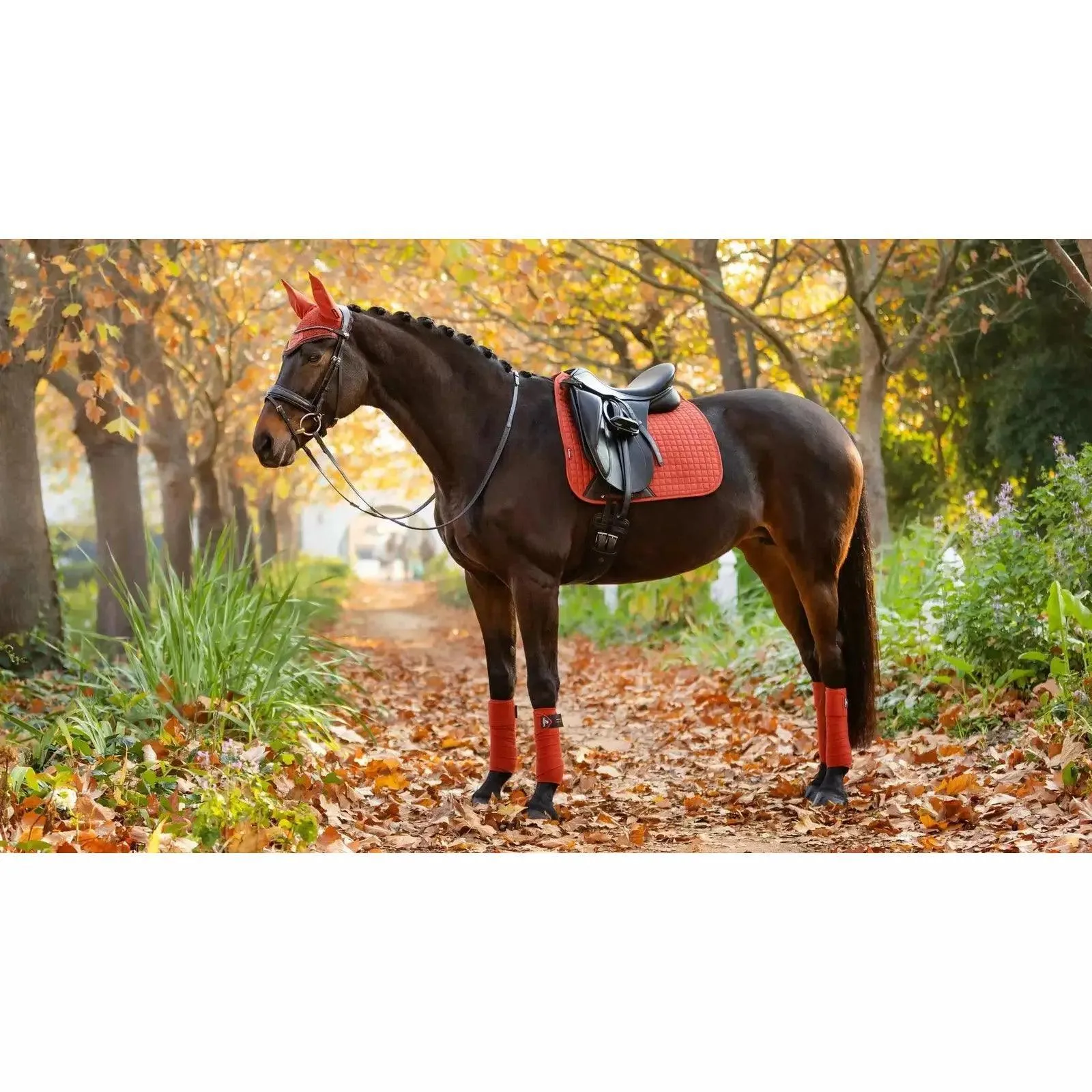 LeMieux luxury suede dressage saddle pad