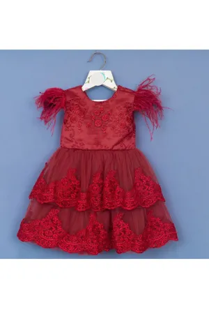 Maroon Embroidered Feather Detailing Net Dress