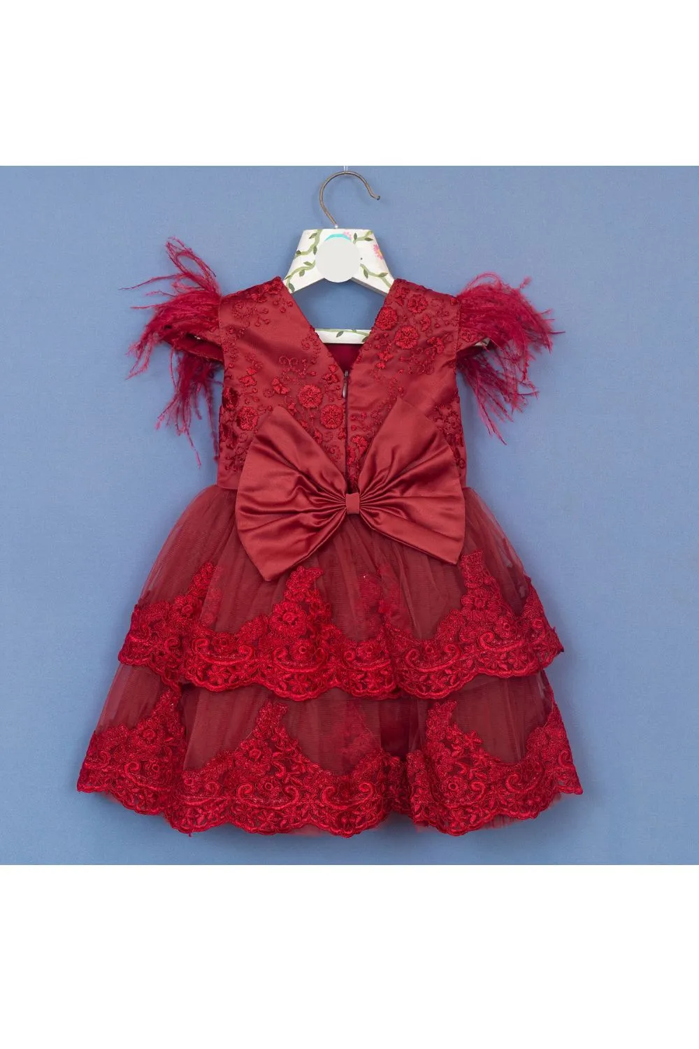Maroon Embroidered Feather Detailing Net Dress