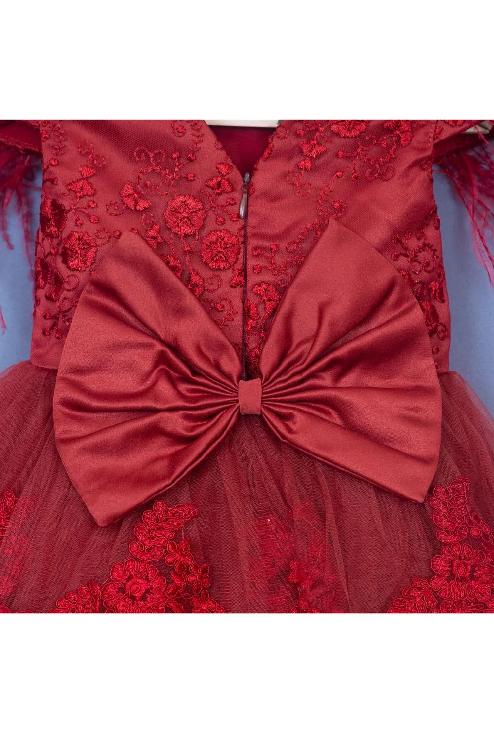 Maroon Embroidered Feather Detailing Net Dress