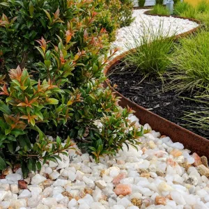Straightcurve Corten garden edging
