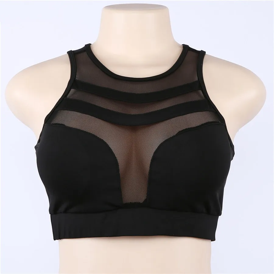 Women's Summer Stretch Cropped Padded Bra Top With Mesh Inserts