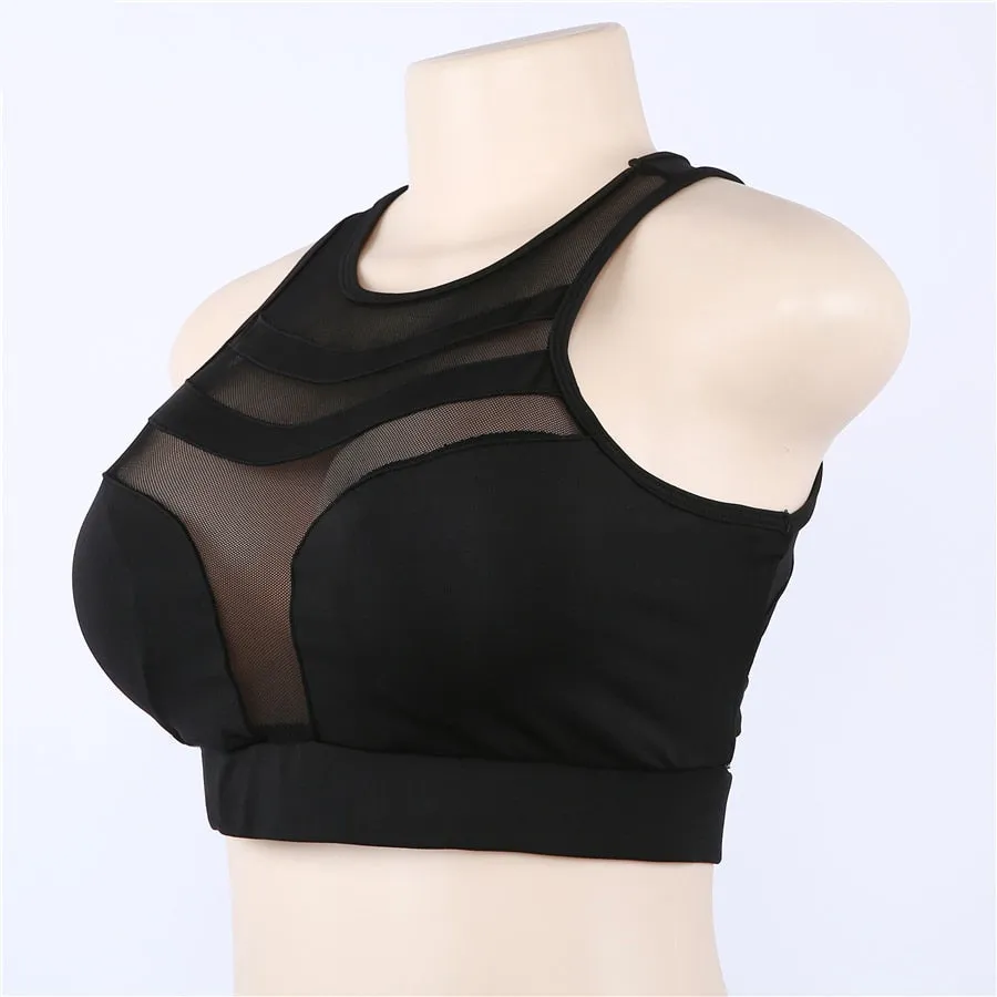 Women's Summer Stretch Cropped Padded Bra Top With Mesh Inserts